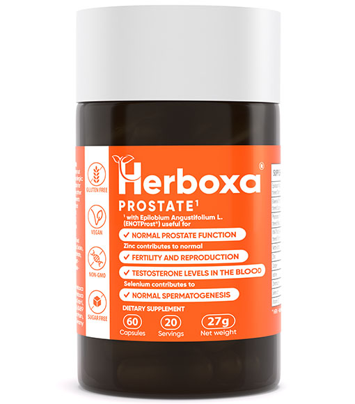 Herboxa® PROSTATE | Out of stock