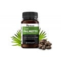 Saw Palmetto