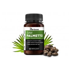 Saw Palmetto