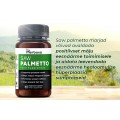 Saw Palmetto