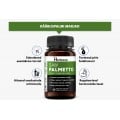 Saw Palmetto