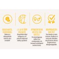 Herboxa Choco Collagen Complex Herboxa Choco Collagen Complex